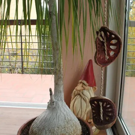 Bed & Breakfast Giotto